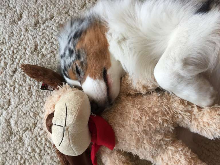 Soft Toy