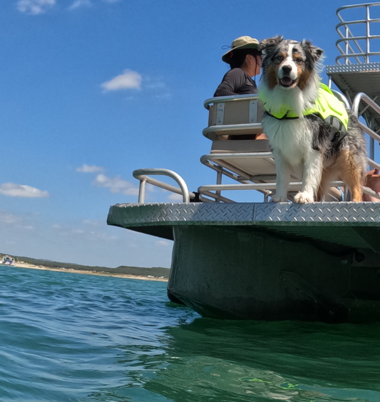 Life Jacket